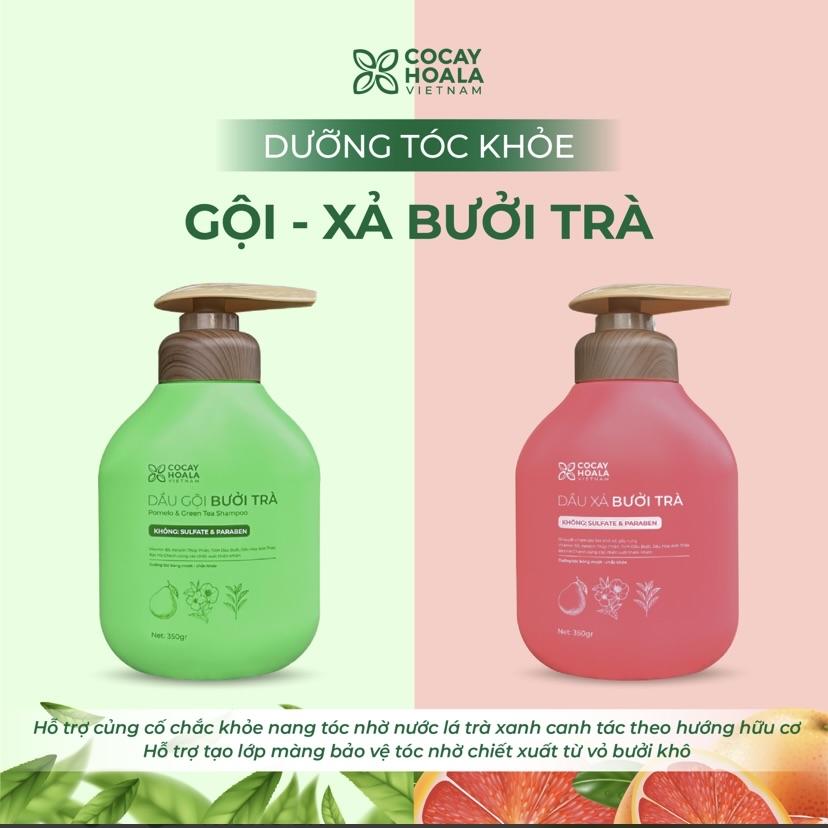 Dầu gội xả Bưởi Trà Cocayhoala-duoc-ban-tai-Yến nhà Loan - Yến sào Sea Nest Khánh Hoà