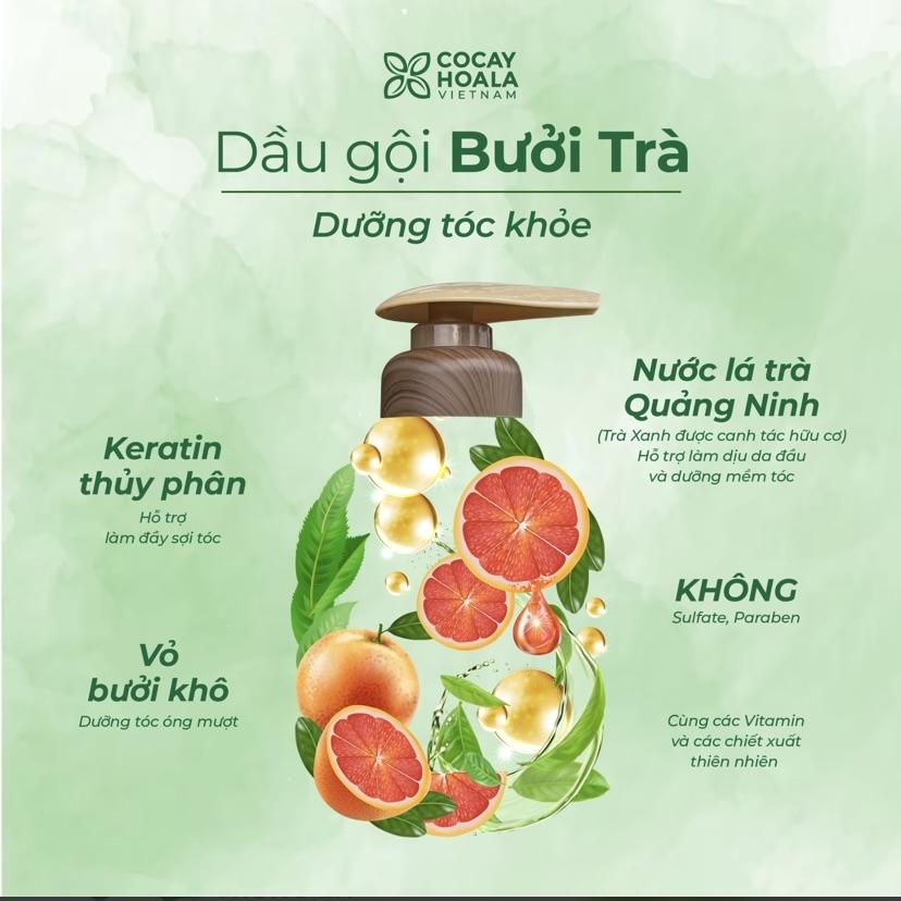Dầu gội xả Bưởi Trà Cocayhoala-duoc-ban-tai-Yến nhà Loan - Yến sào Sea Nest Khánh Hoà