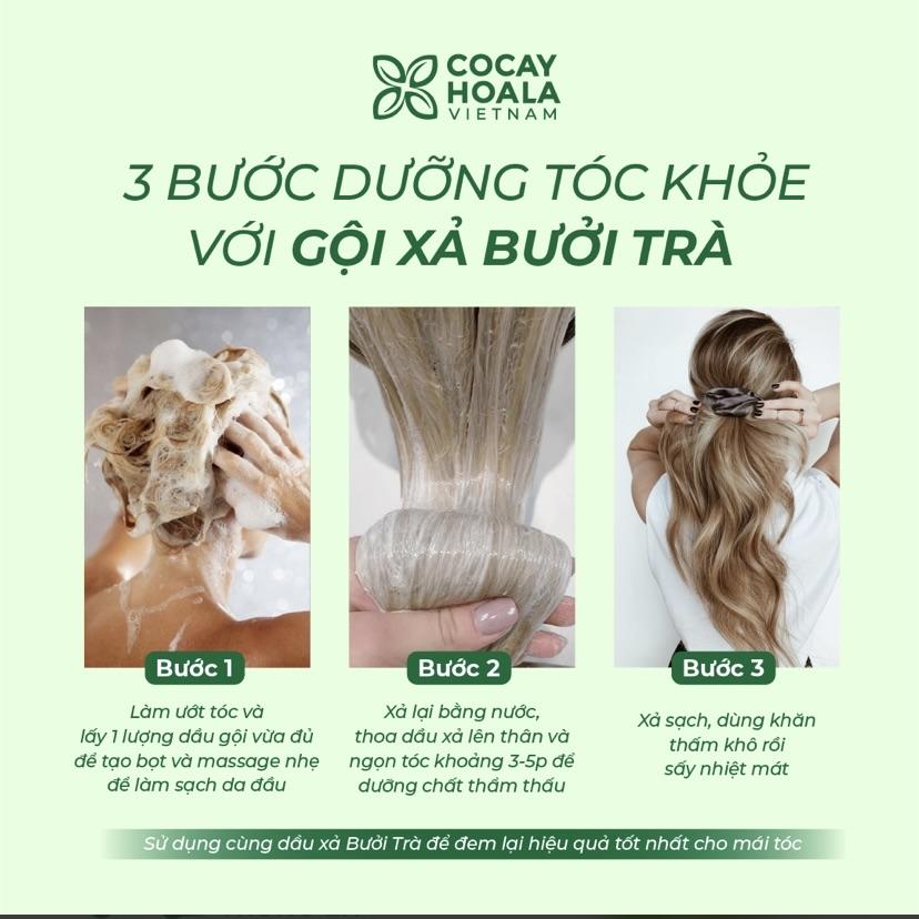 Dầu gội xả Bưởi Trà Cocayhoala-duoc-ban-tai-Yến nhà Loan - Yến sào Sea Nest Khánh Hoà