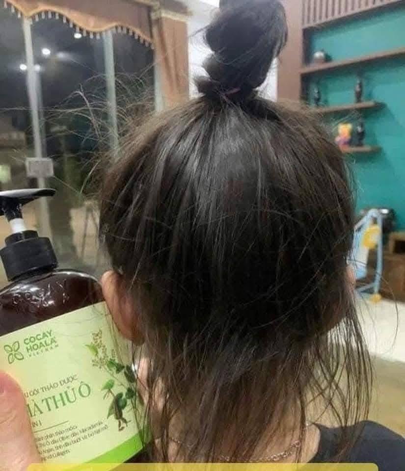 Dầu Gội Thảo Dược Hà Thủ Ô 2IN1 Cỏ Cây Hoa Lá 450G-duoc-ban-tai-Yến nhà Loan - Yến sào Sea Nest Khánh Hoà