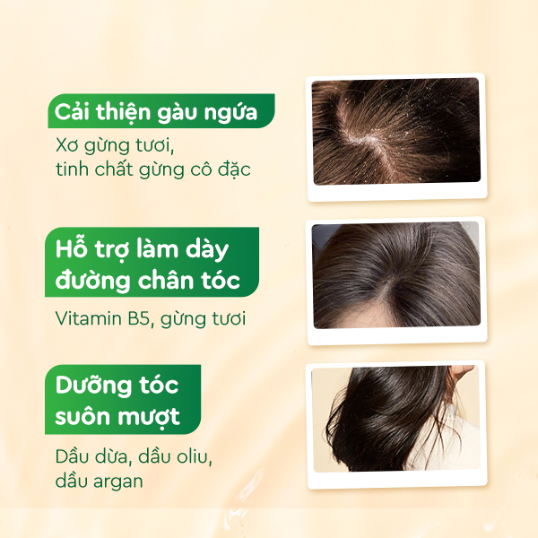 Dầu gội xả Gừng Dừa Cocayhoala-duoc-ban-tai-Yến nhà Loan - Yến sào Sea Nest Khánh Hoà