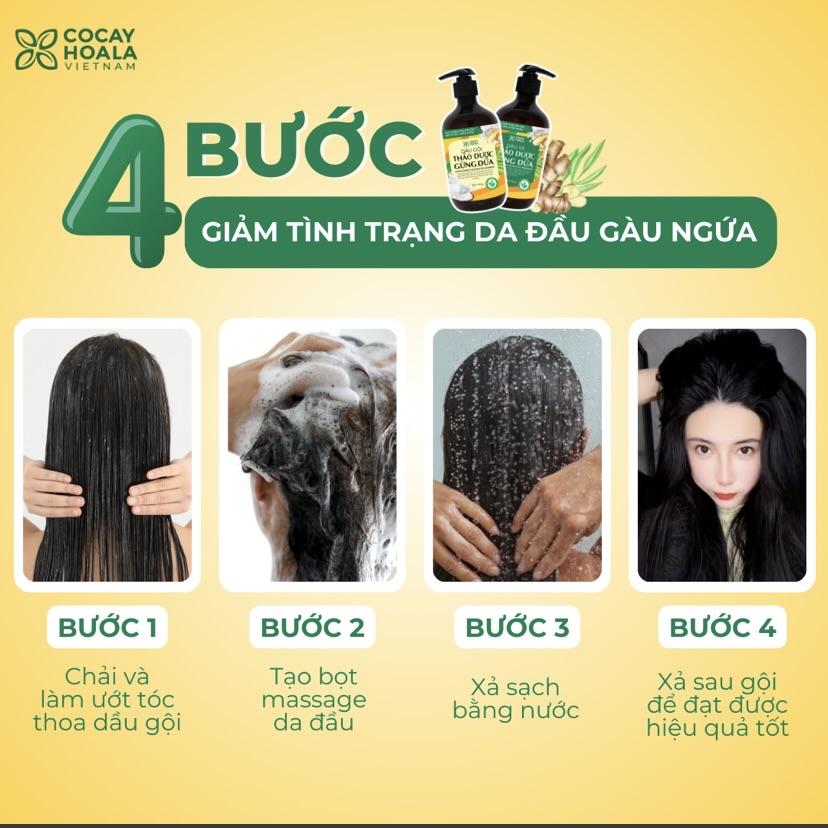 Dầu gội xả Gừng Dừa Cocayhoala-duoc-ban-tai-Yến nhà Loan - Yến sào Sea Nest Khánh Hoà