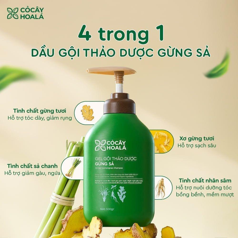 Combo Gừng sả 500g-duoc-ban-tai-Yến nhà Loan - Yến sào Sea Nest Khánh Hoà