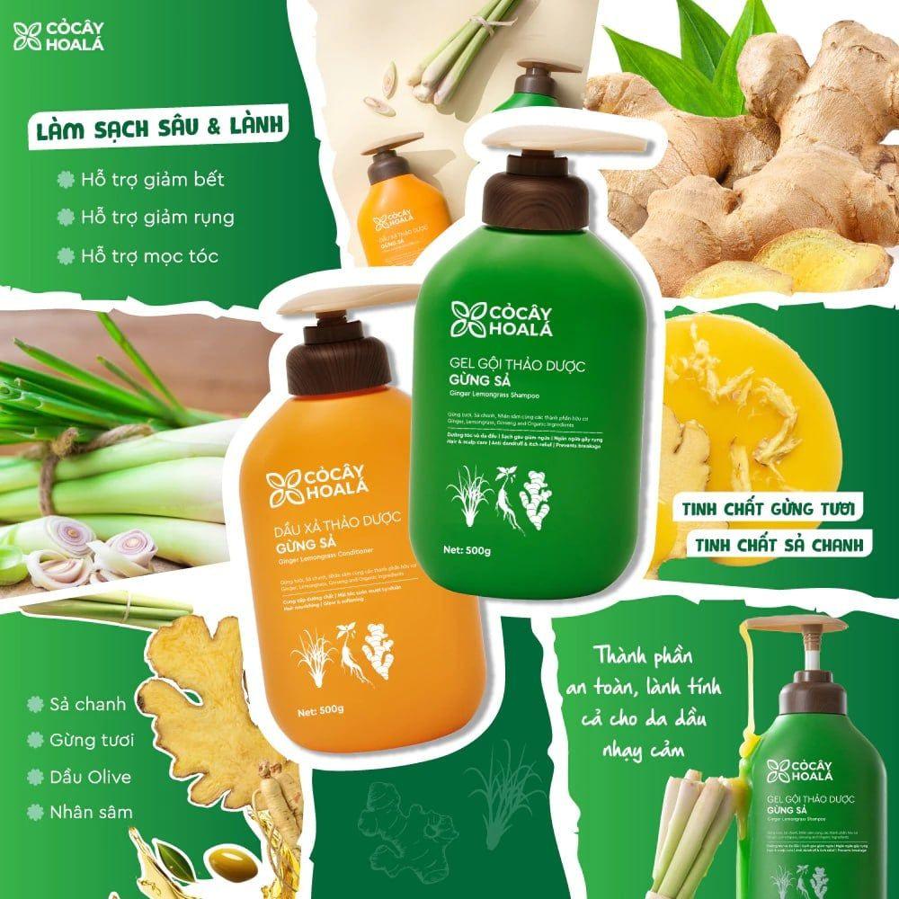 Combo Gừng sả 500g-duoc-ban-tai-Yến nhà Loan - Yến sào Sea Nest Khánh Hoà