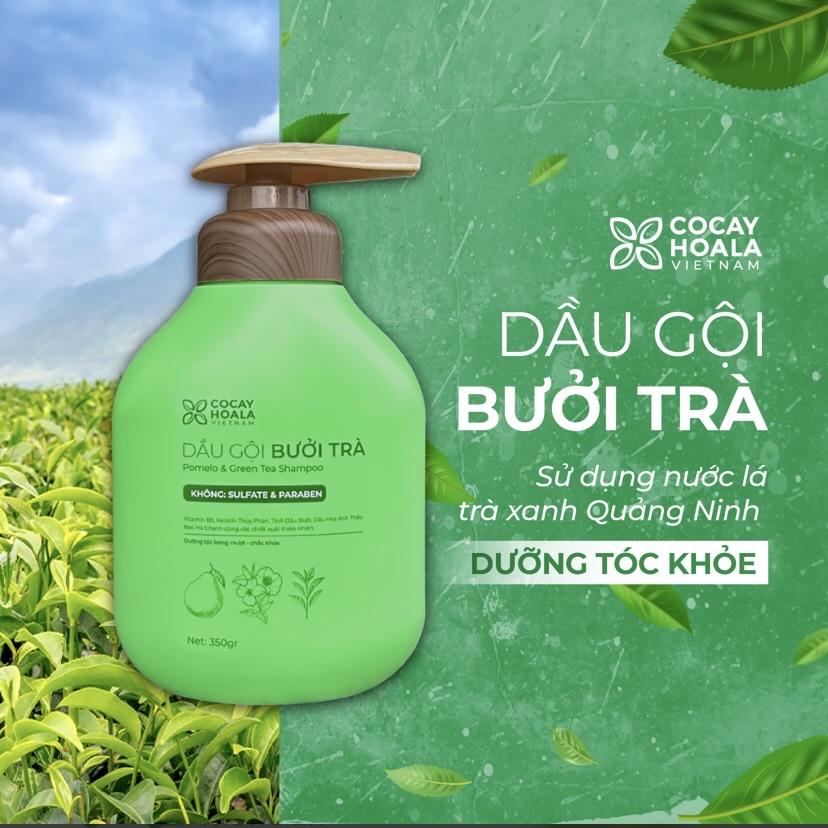 Dầu gội xả Bưởi Trà Cocayhoala-duoc-ban-tai-Yến nhà Loan - Yến sào Sea Nest Khánh Hoà