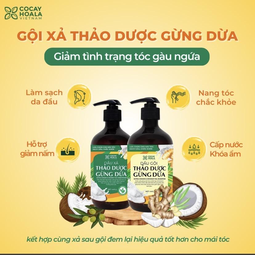Dầu gội xả Gừng Dừa Cocayhoala-duoc-ban-tai-Yến nhà Loan - Yến sào Sea Nest Khánh Hoà