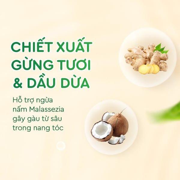 Dầu gội xả Gừng Dừa Cocayhoala-duoc-ban-tai-Yến nhà Loan - Yến sào Sea Nest Khánh Hoà