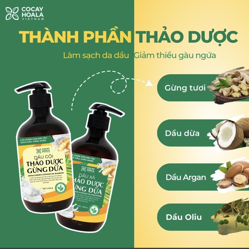 Dầu gội xả Gừng Dừa Cocayhoala-duoc-ban-tai-Yến nhà Loan - Yến sào Sea Nest Khánh Hoà