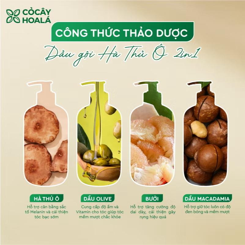 Dầu Gội Thảo Dược Hà Thủ Ô 2IN1 Cỏ Cây Hoa Lá 450G-duoc-ban-tai-Yến nhà Loan - Yến sào Sea Nest Khánh Hoà