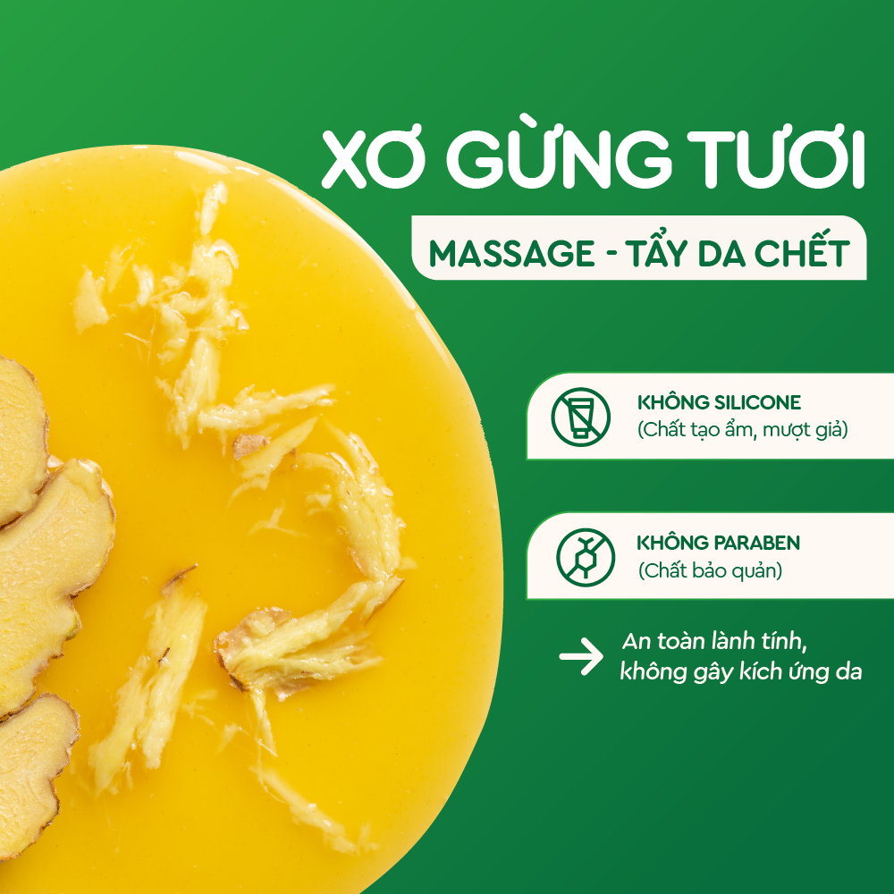 Sữa tắm Gừng Nghệ 500gr CCHL-duoc-ban-tai-Yến nhà Loan - Yến sào Sea Nest Khánh Hoà