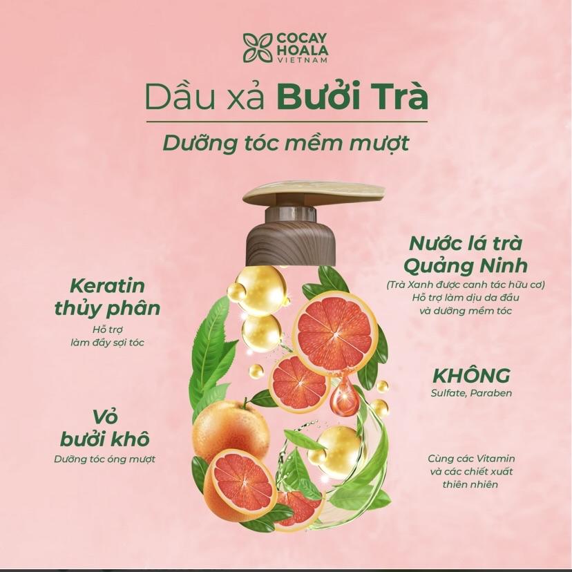 Dầu gội xả Bưởi Trà Cocayhoala-duoc-ban-tai-Yến nhà Loan - Yến sào Sea Nest Khánh Hoà