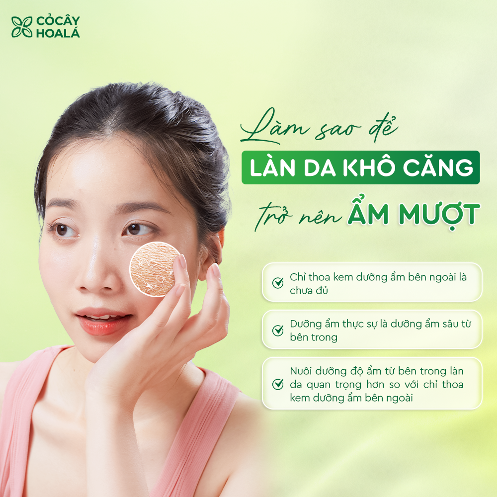 Kem Dưỡng Da Bơ Nghệ Cỏ Cây Hoa Lá 50g Cấp Ẩm Sâu, Phục Hồi Da Sáng Mịn-duoc-ban-tai-Yến nhà Loan - Yến sào Sea Nest Khánh Hoà
