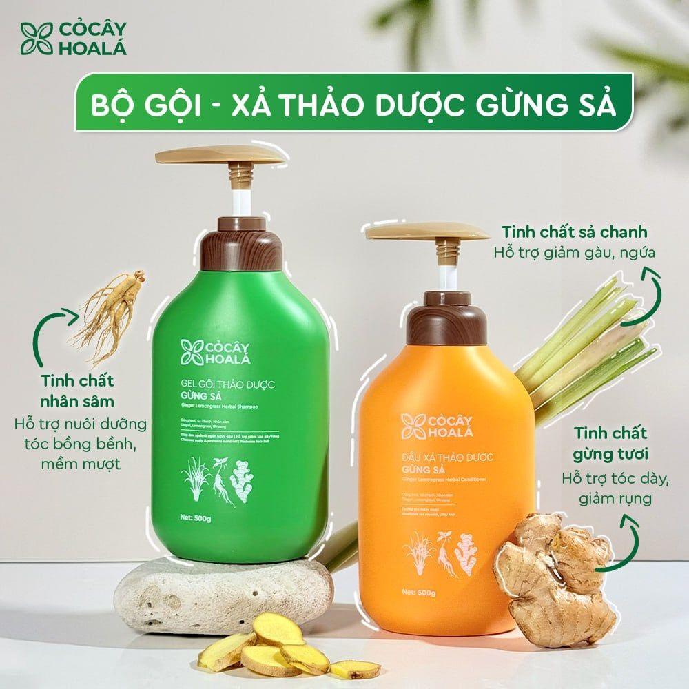Combo Gừng sả 500g-duoc-ban-tai-Yến nhà Loan - Yến sào Sea Nest Khánh Hoà