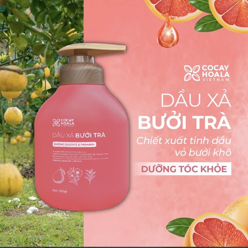 Dầu gội xả Bưởi Trà Cocayhoala-duoc-ban-tai-Yến nhà Loan - Yến sào Sea Nest Khánh Hoà