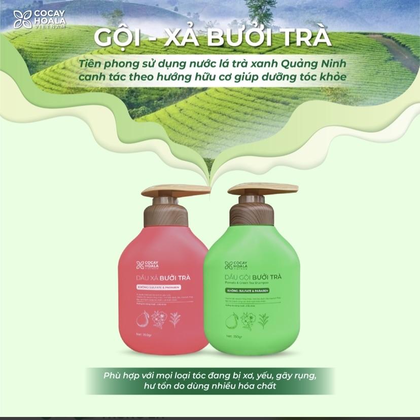 Dầu gội xả Bưởi Trà Cocayhoala-duoc-ban-tai-Yến nhà Loan - Yến sào Sea Nest Khánh Hoà