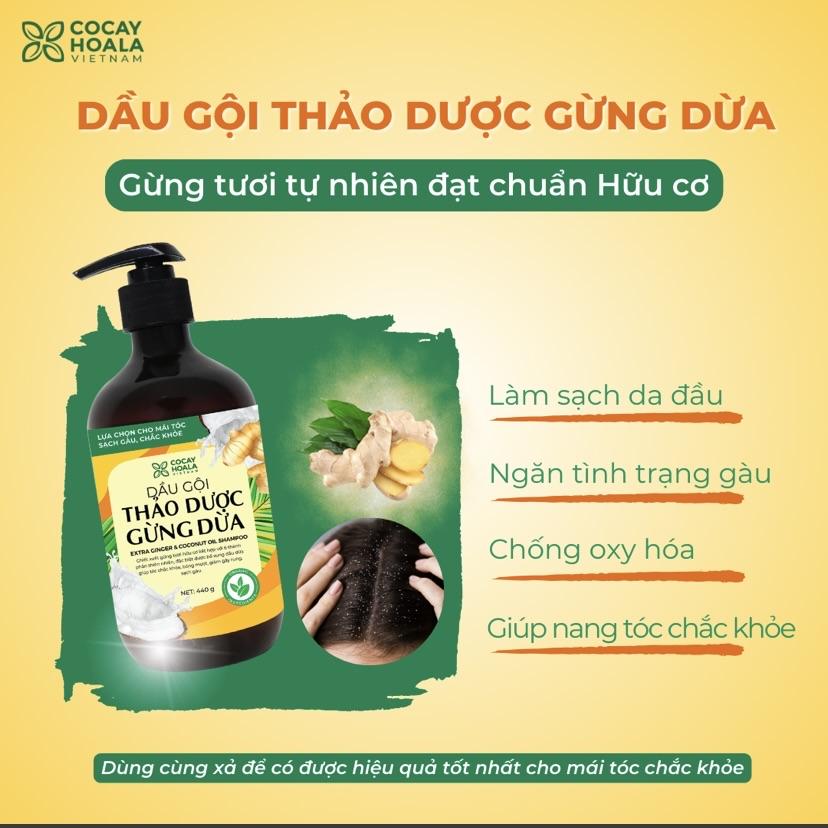 Dầu gội xả Gừng Dừa Cocayhoala-duoc-ban-tai-Yến nhà Loan - Yến sào Sea Nest Khánh Hoà