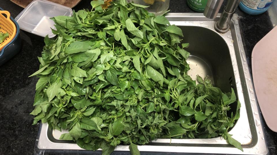 Cái này chỉ mình tôi có thôiiii -duoc-ban-tai-Sốp bông Mia - Moon store