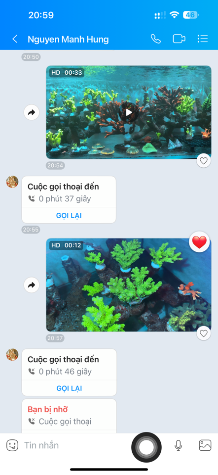 SPS Da Ếch Neon-duoc-ban-tai-ROYAL AQUA -  Flights everywhere