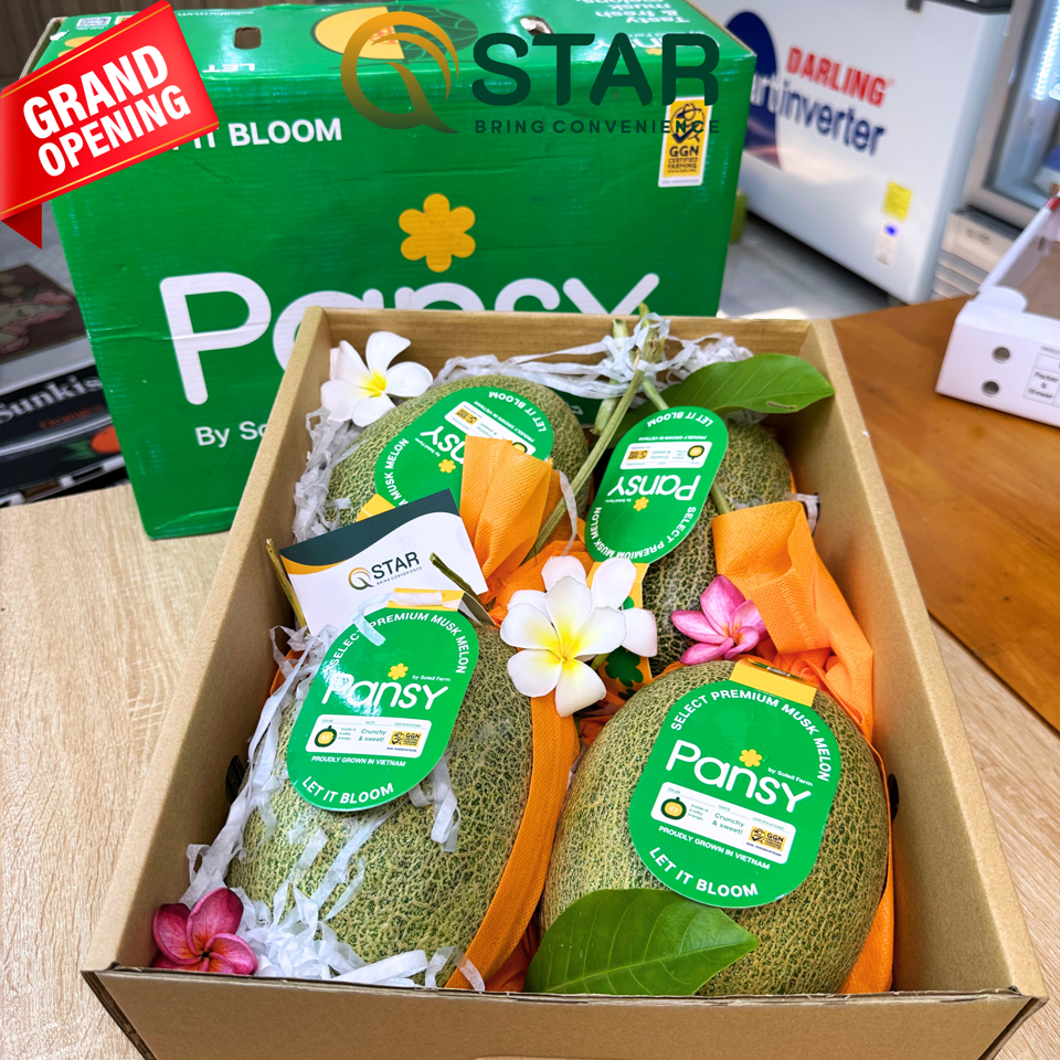 Dưa Lưới Pansy-duoc-ban-tai-QSTAR SHOP