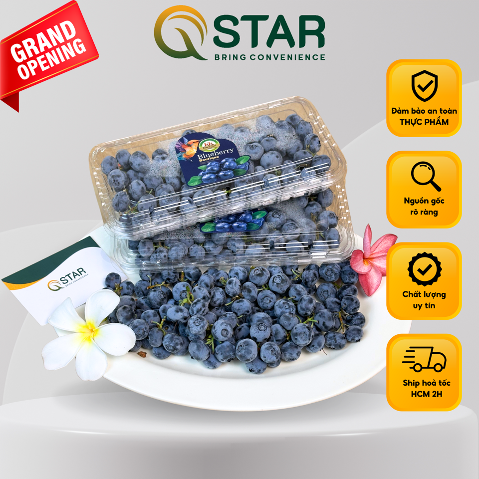 Việt quất Town Send-duoc-ban-tai-QSTAR SHOP