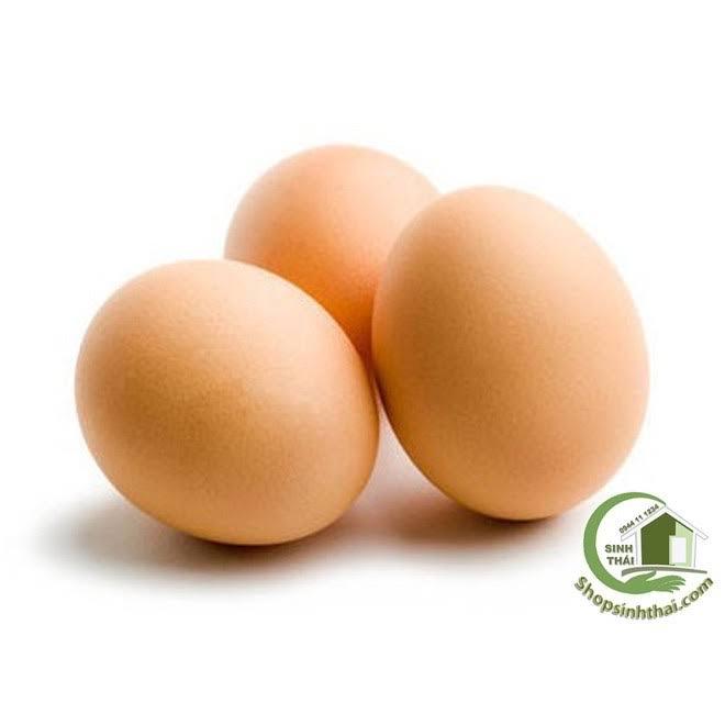 Trứng Gà-duoc-ban-tai-BÒ TƠ BÌNH MINH