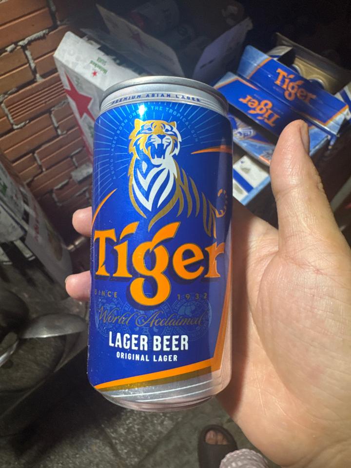 Tiger Lùn-duoc-ban-tai-BÒ TƠ BÌNH MINH