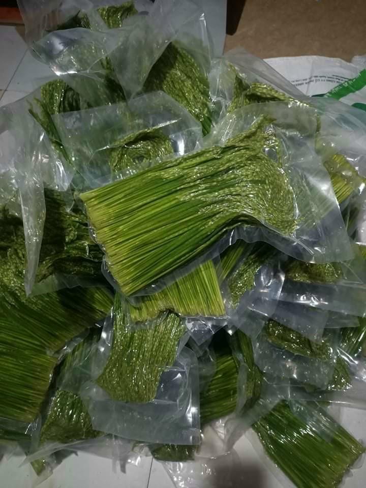 Đòng đòng lúa nếp-duoc-ban-tai-Http://VuonNhaMinh.Net