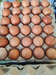 Trứng Gà CN-duoc-ban-tai-Http://VuonNhaMinh.Net