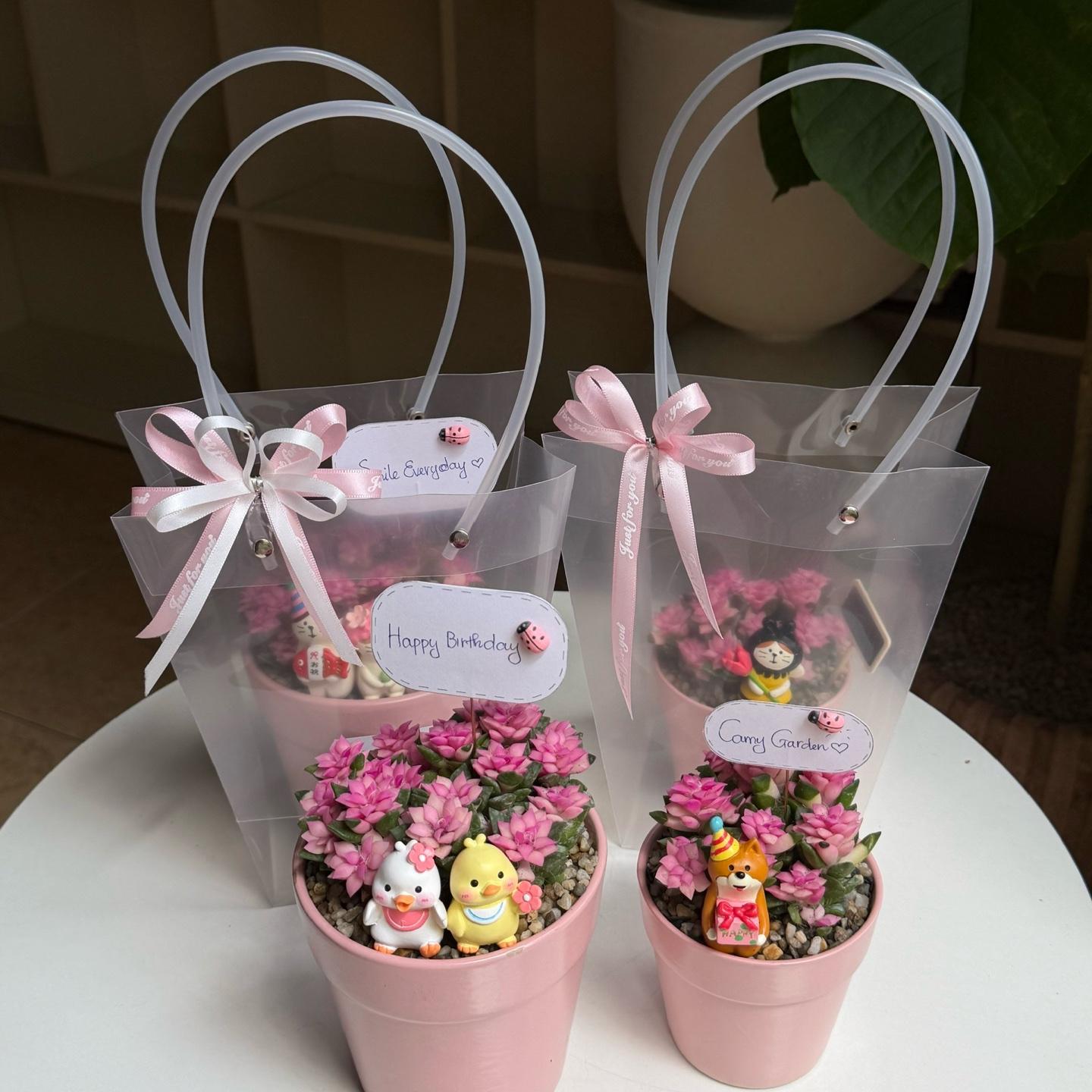 Set hồng sao size M-duoc-ban-tai-Camy Garden - Cây Xinh Hà Nội