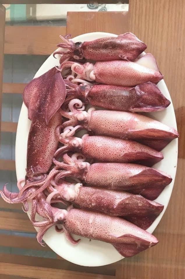 Mực ống 🦑-duoc-ban-tai-🐬🐙🦈Hải “Sản” Seafood 🐬🐙🦈