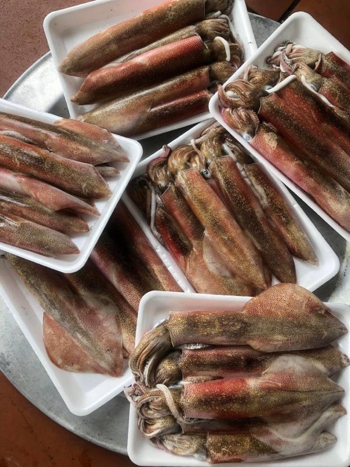 Mực ống 🦑-duoc-ban-tai-🐬🐙🦈Hải “Sản” Seafood 🐬🐙🦈