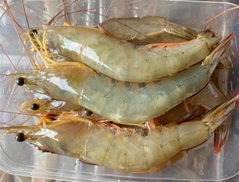 Tôm he 🦐🦐🦐-duoc-ban-tai-🐬🐙🦈Hải “Sản” Seafood 🐬🐙🦈
