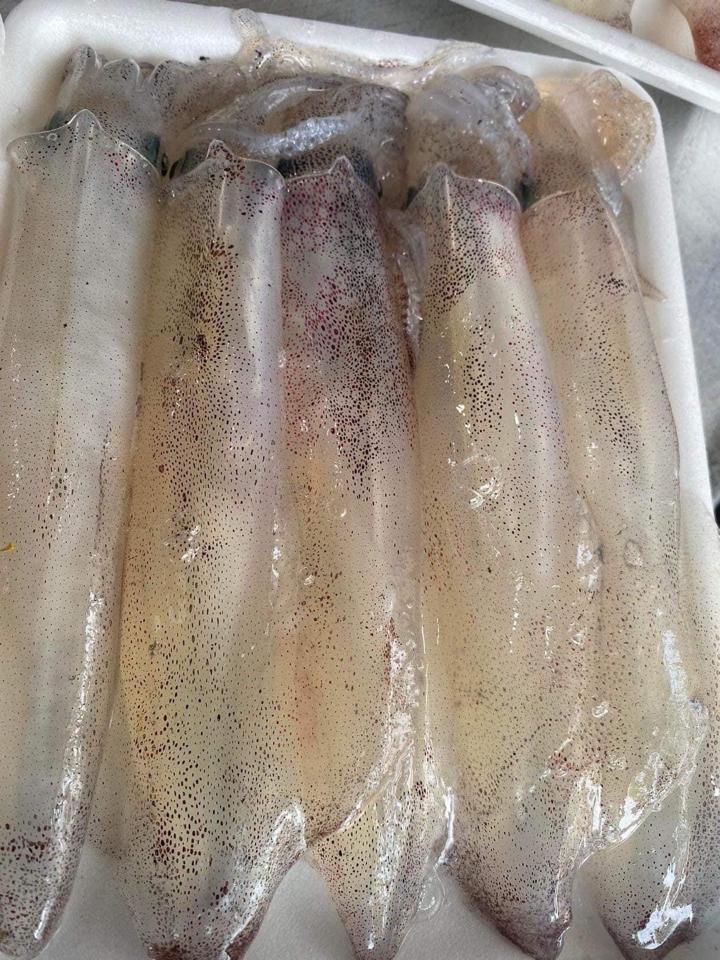 Mực ống 🦑 (Loại có cơm xôi 🥚)-duoc-ban-tai-🐬🐙🦈Hải “Sản” Seafood 🐬🐙🦈