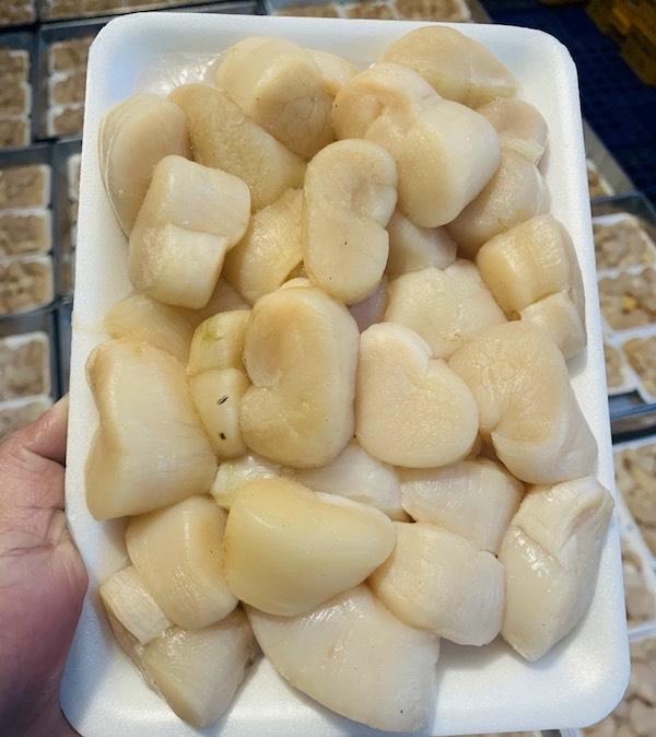 Bàn mai-duoc-ban-tai-🐬🐙🦈Hải “Sản” Seafood 🐬🐙🦈