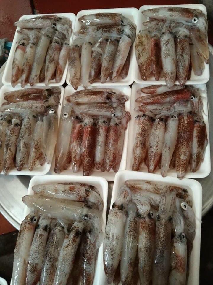 Mực ống 🦑-duoc-ban-tai-🐬🐙🦈Hải “Sản” Seafood 🐬🐙🦈