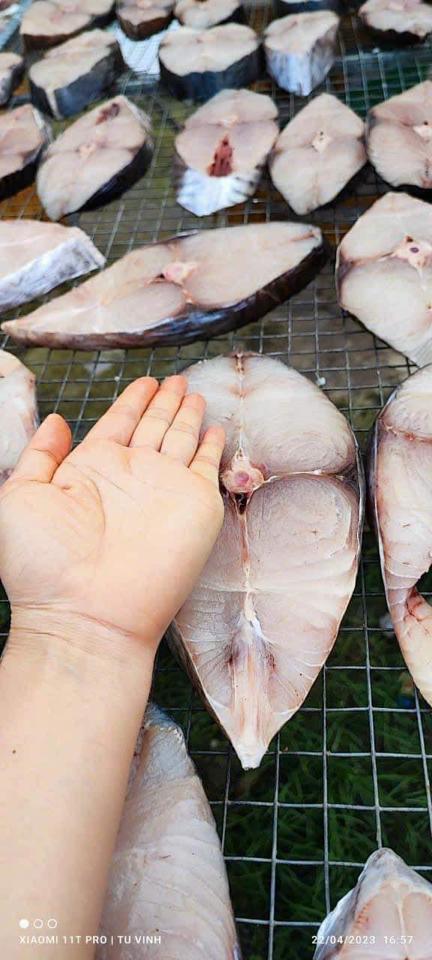 Cá thu một nắng 🐟☀️ (Loại VIP thượng hạng) -duoc-ban-tai-🐬🐙🦈Hải “Sản” Seafood 🐬🐙🦈