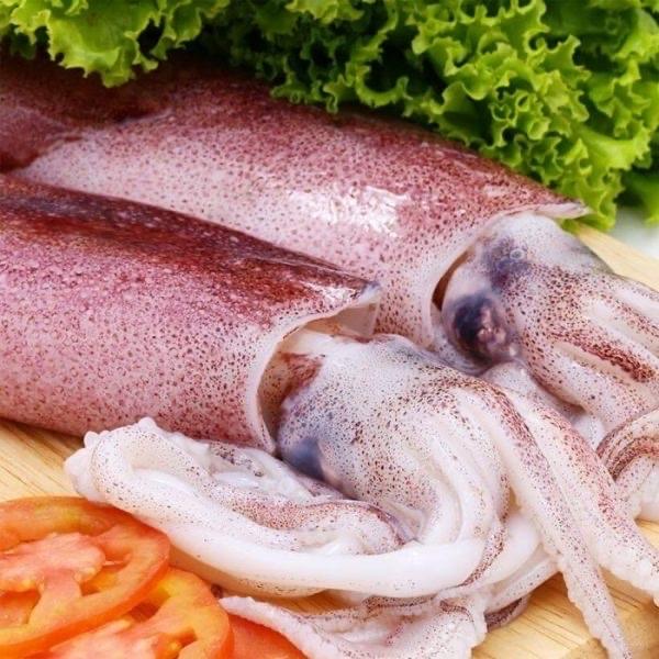 Mực ống 🦑-duoc-ban-tai-🐬🐙🦈Hải “Sản” Seafood 🐬🐙🦈