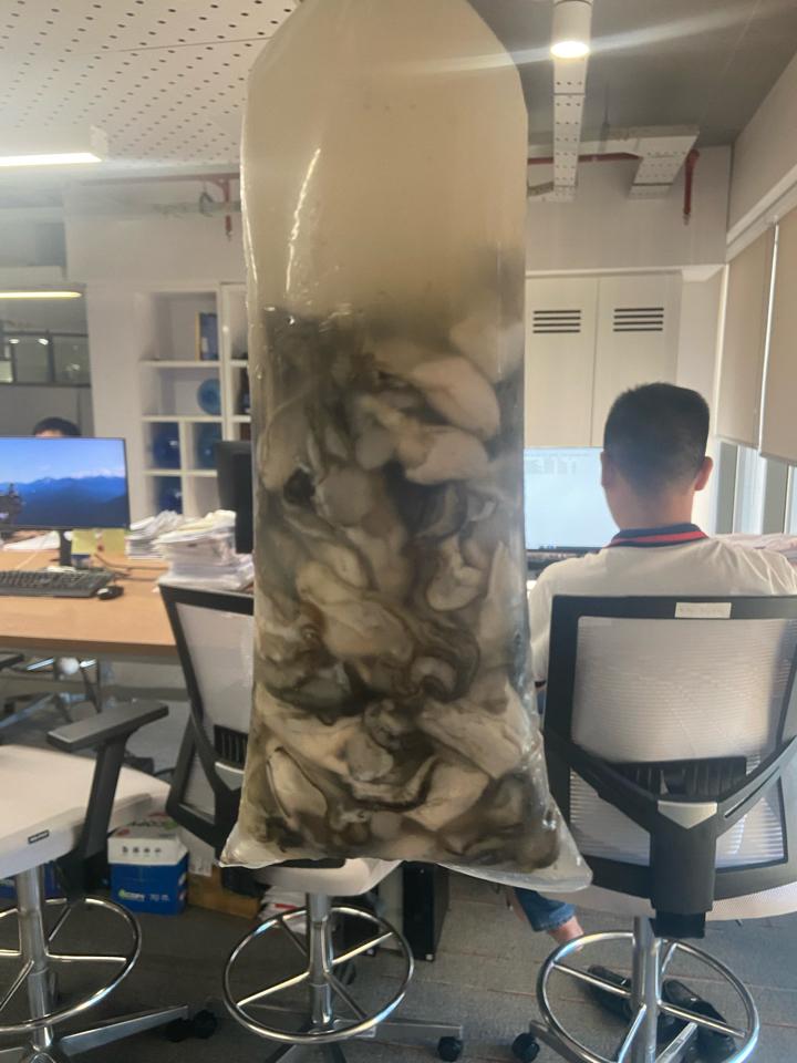 Hàu sữa 🦪 (Loại VIP siêu to 60-70 con)-duoc-ban-tai-🐬🐙🦈Hải “Sản” Seafood 🐬🐙🦈