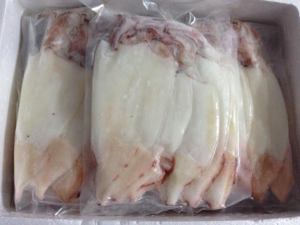Mực lá 🦑-duoc-ban-tai-🐬🐙🦈Hải “Sản” Seafood 🐬🐙🦈