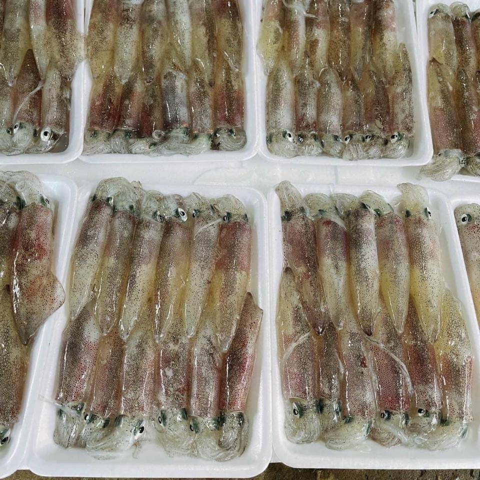 Mực ống 🦑 (Loại có cơm xôi 🥚)-duoc-ban-tai-🐬🐙🦈Hải “Sản” Seafood 🐬🐙🦈