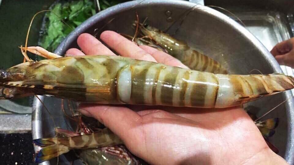 Tôm he 🦐🦐🦐-duoc-ban-tai-🐬🐙🦈Hải “Sản” Seafood 🐬🐙🦈