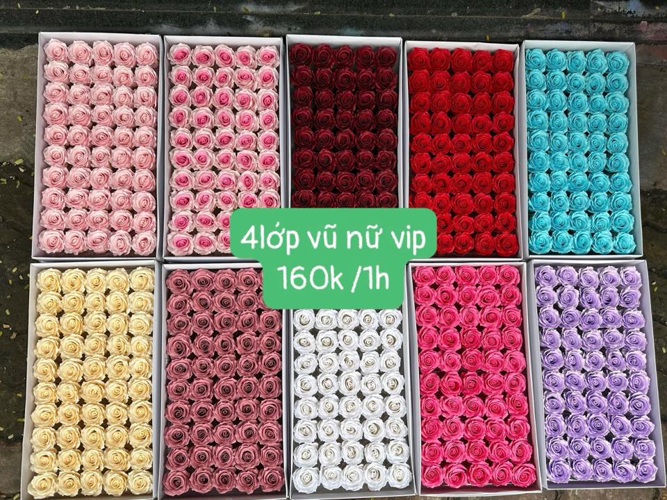 4lớp vũ nữ vip -duoc-ban-tai-Shop hoa TNT
