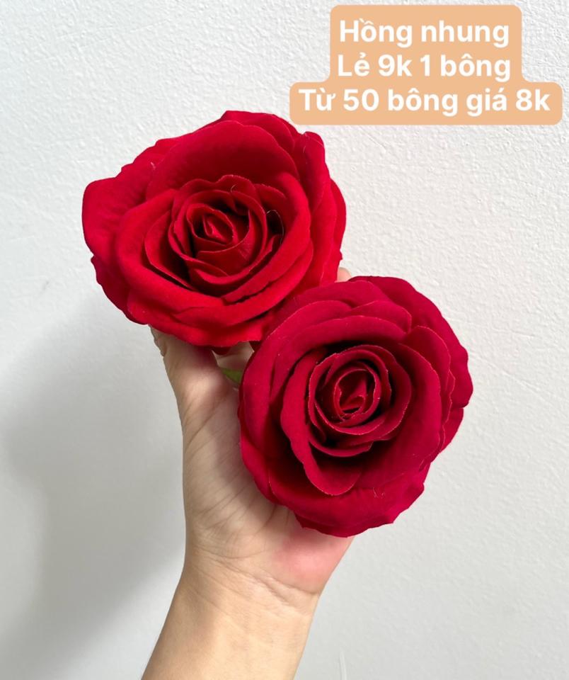 Đầu hồng nhung hàng trung (DBHNHT)-duoc-ban-tai-Shop hoa TNT