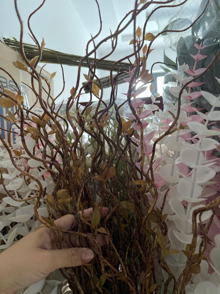 Cành salix nâu-duoc-ban-tai-Shop hoa TNT