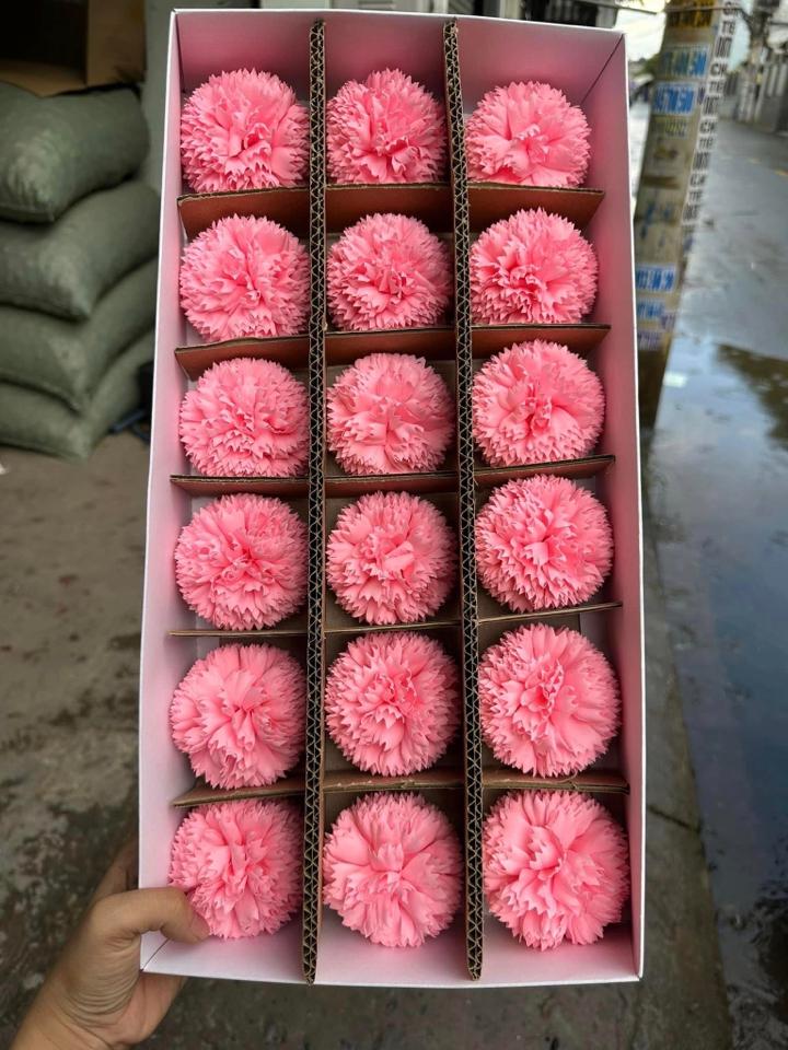 Cẩm chướng đại (18 bông) (ccd)-duoc-ban-tai-Shop hoa TNT