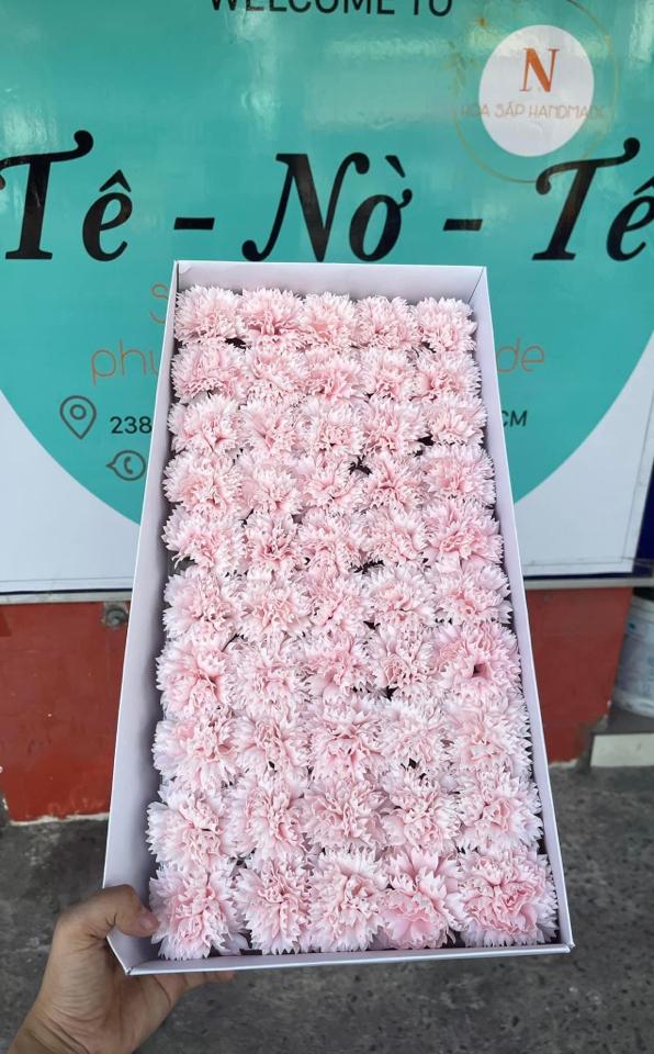 Cẩm chướng hộp 50 bông (cc)-duoc-ban-tai-Shop hoa TNT