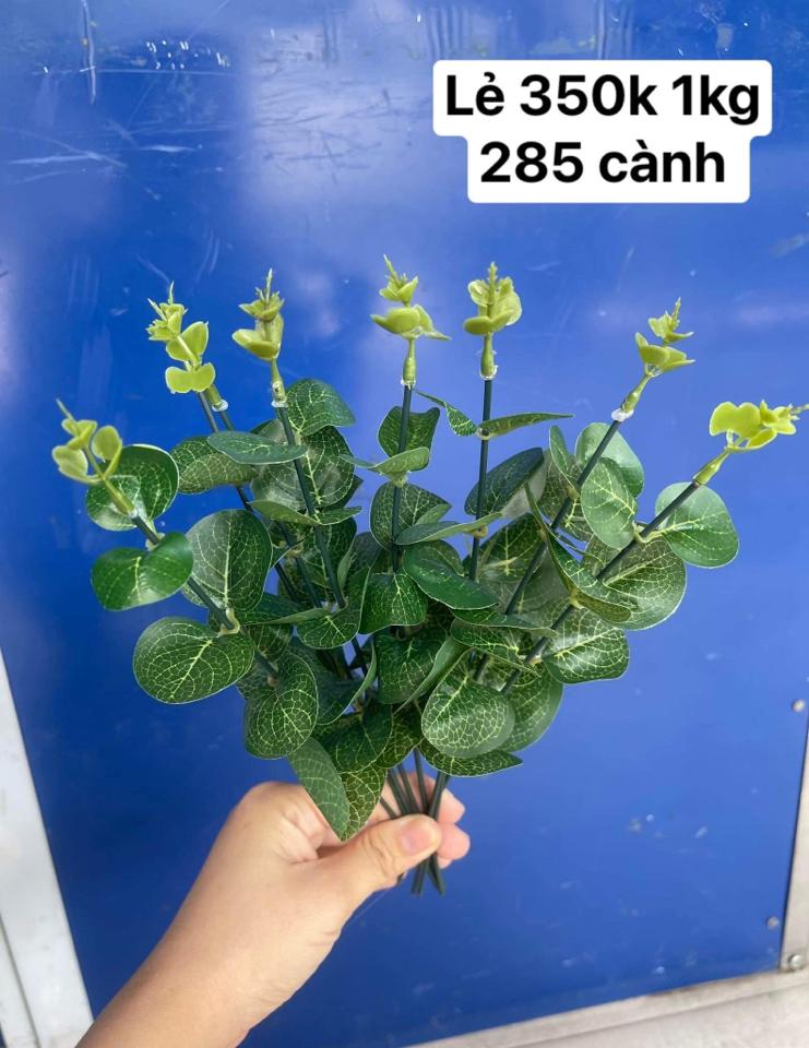 Lá táo kg (xanh)-duoc-ban-tai-Shop hoa TNT