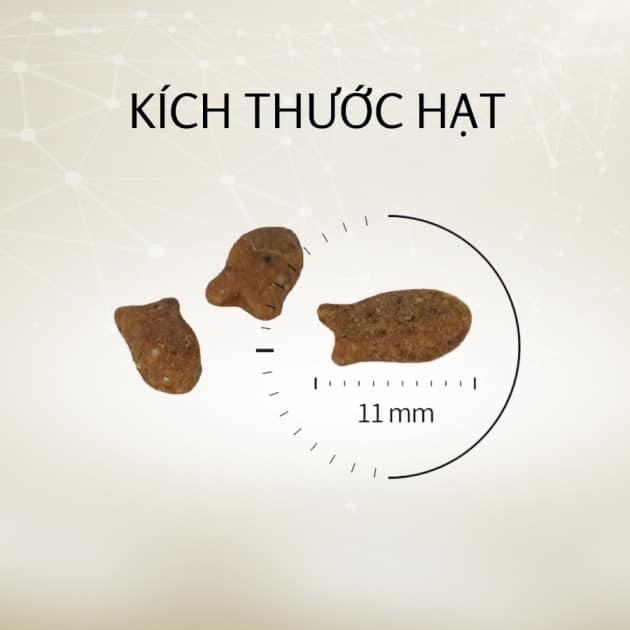 Hạt CAT'S EYE-duoc-ban-tai-CHÚ MÈO BÉO PETSTORE