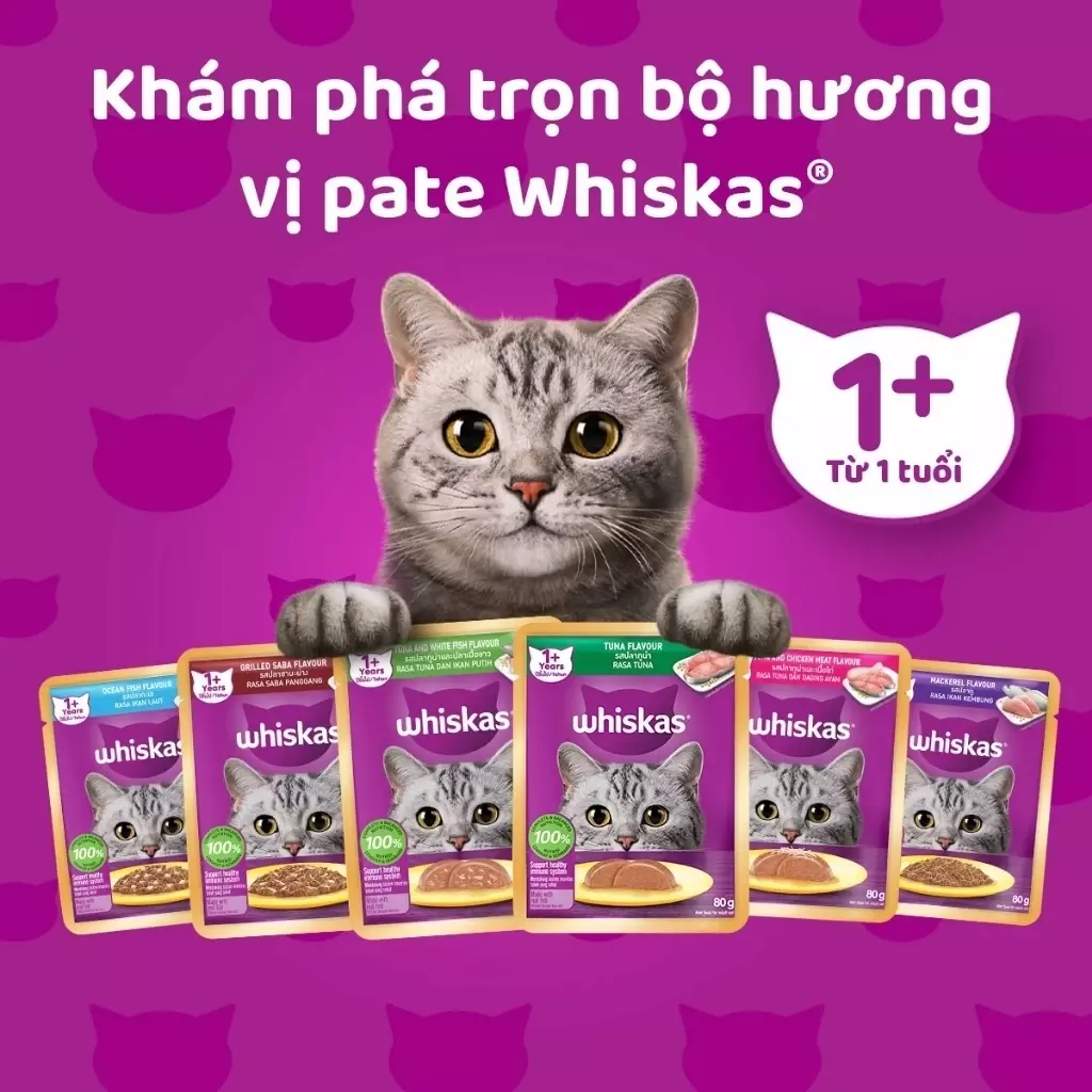 PATE WHISKAS CHO MÈO TRƯỞNG THÀNH-duoc-ban-tai-CHÚ MÈO BÉO PETSTORE