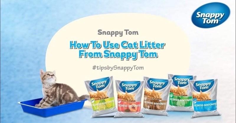 CÁT SNAPPY TOM-duoc-ban-tai-CHÚ MÈO BÉO PETSTORE